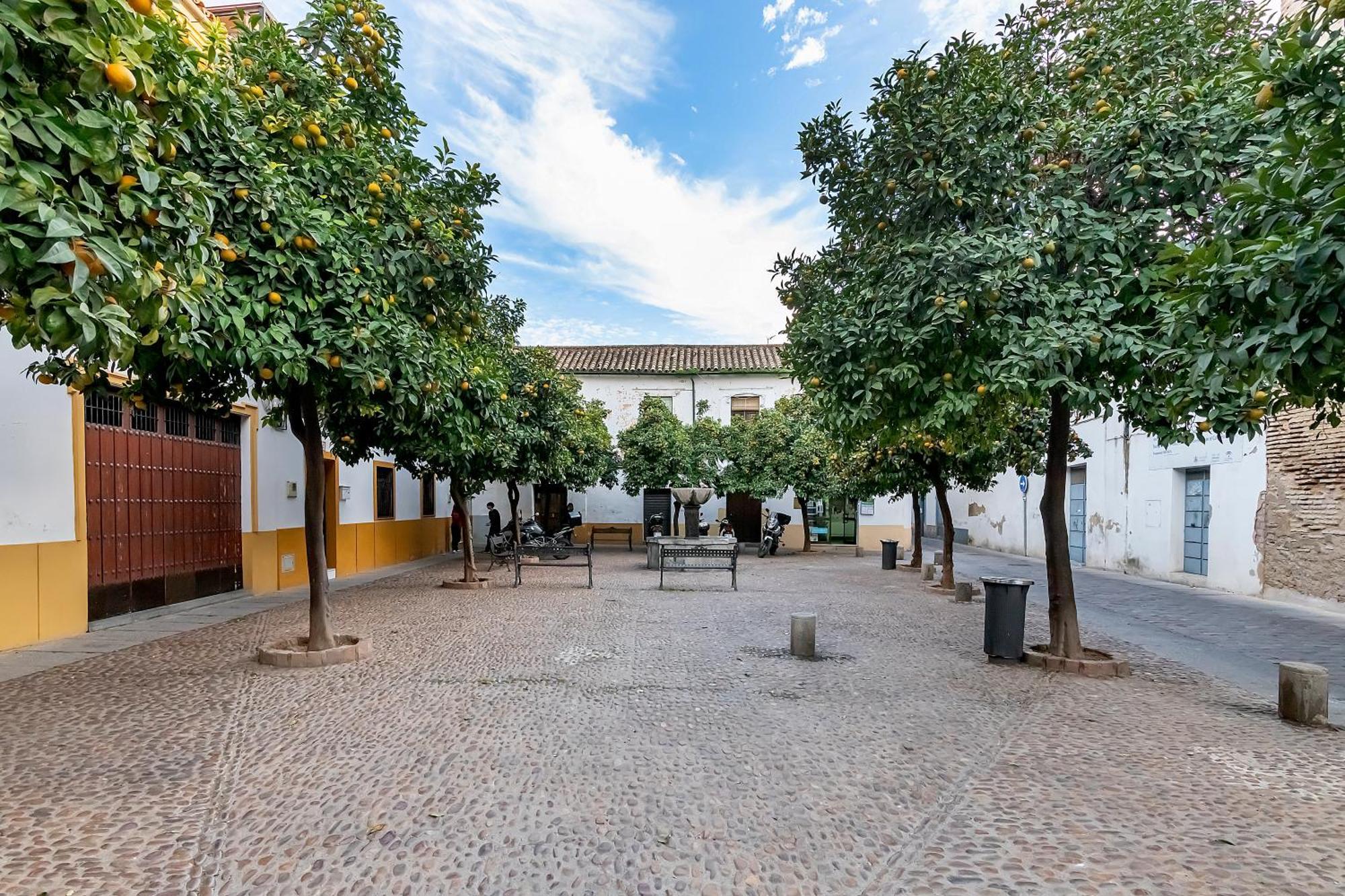 Bhost - Yayo Pepe Apartment Córdoba Exterior foto